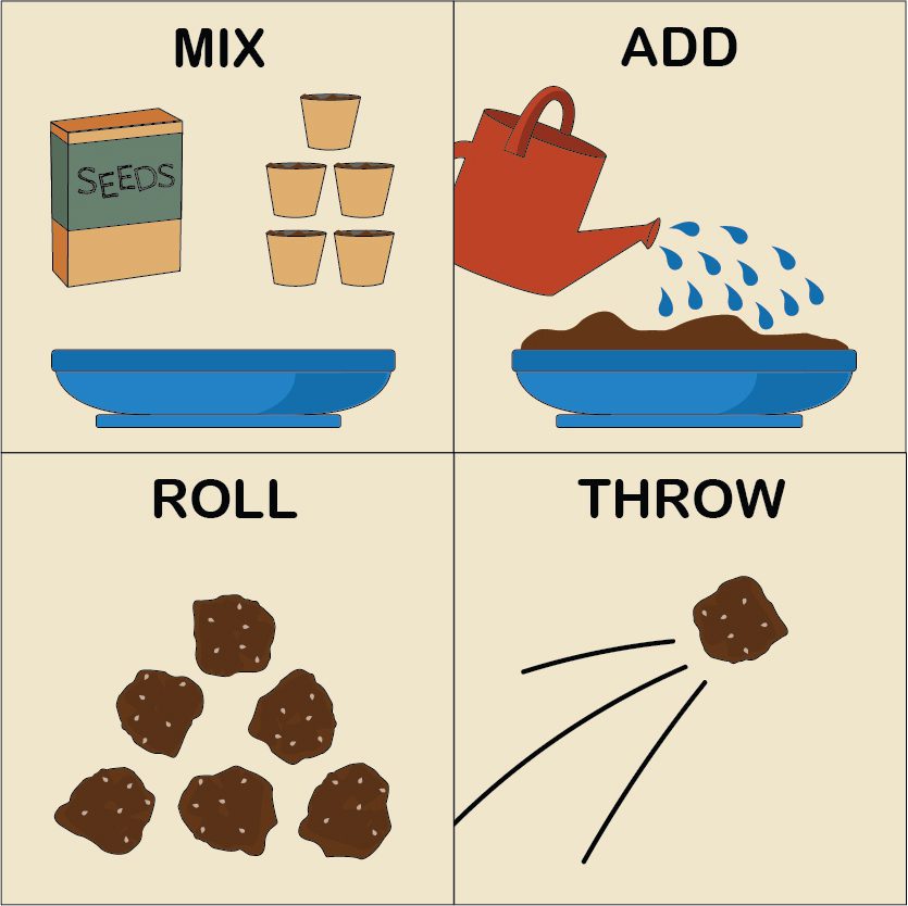 Graphic showing the stages needed to create wild flower seed bombs