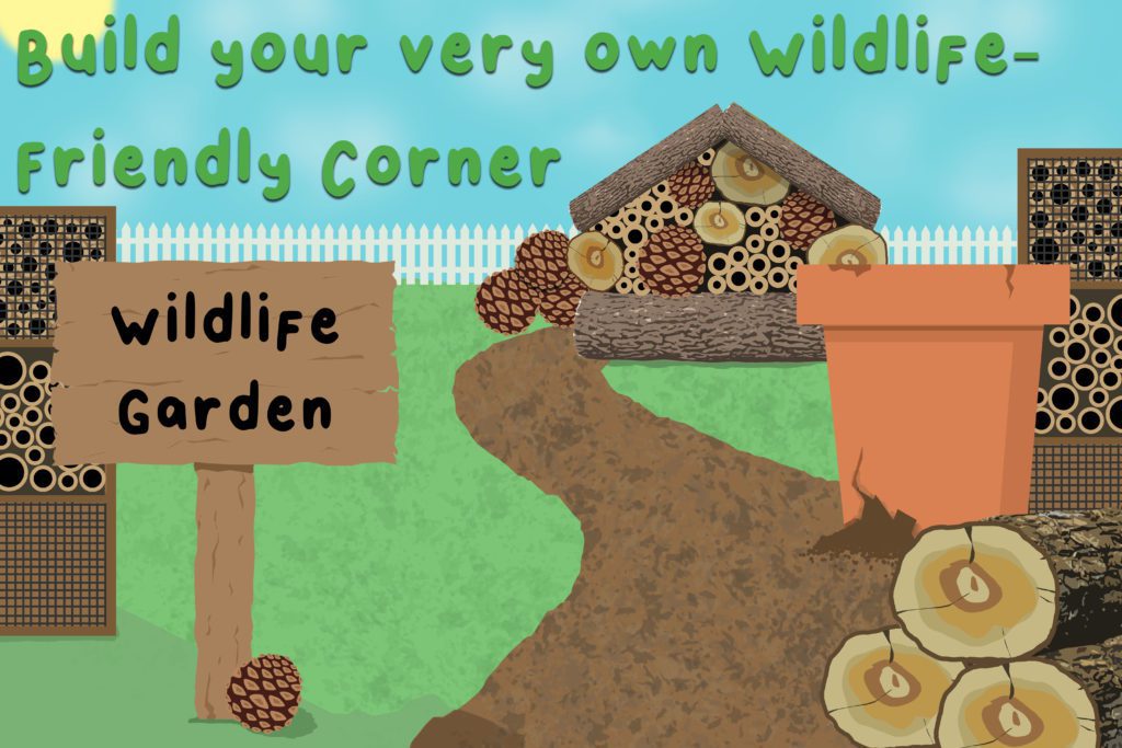 Illustration-to-show-a-wildlife-garden-including-log-piles-and-bee-homes