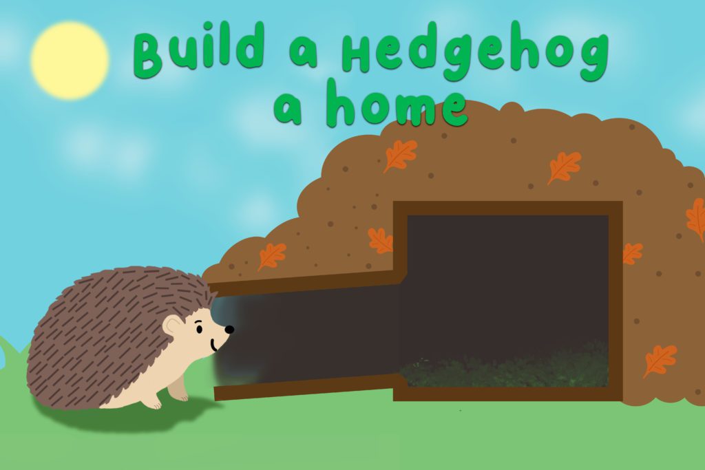 An-illustration-to-show-a-hedgehog-home