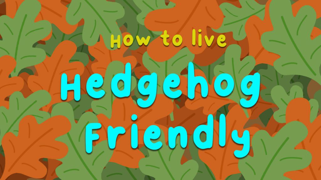 An-illustration-of-text-reading-how-to-live-hedgehog-friendly