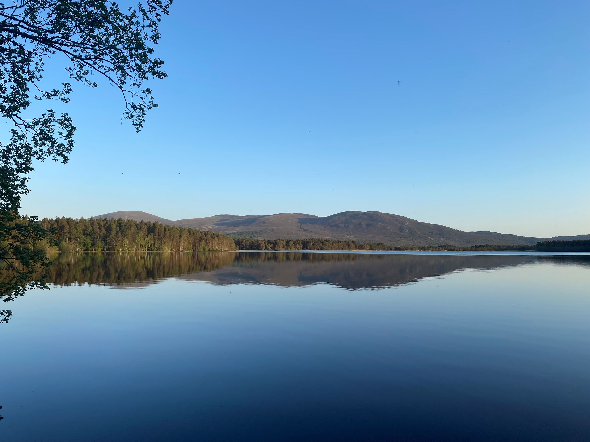 Photograph of loch and trees and hills on the horizon with a clear blue sky.