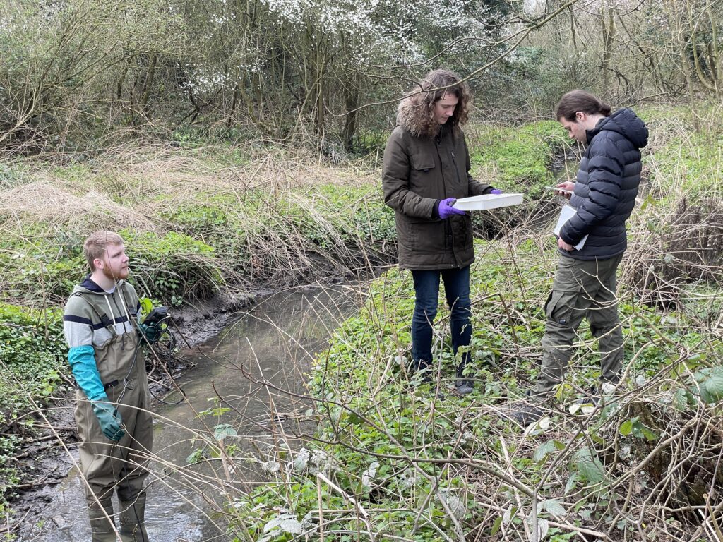 Three students, one in waders standing in Duck Brook, a second holding a tray with water samples in, the thrird recording data on a phone