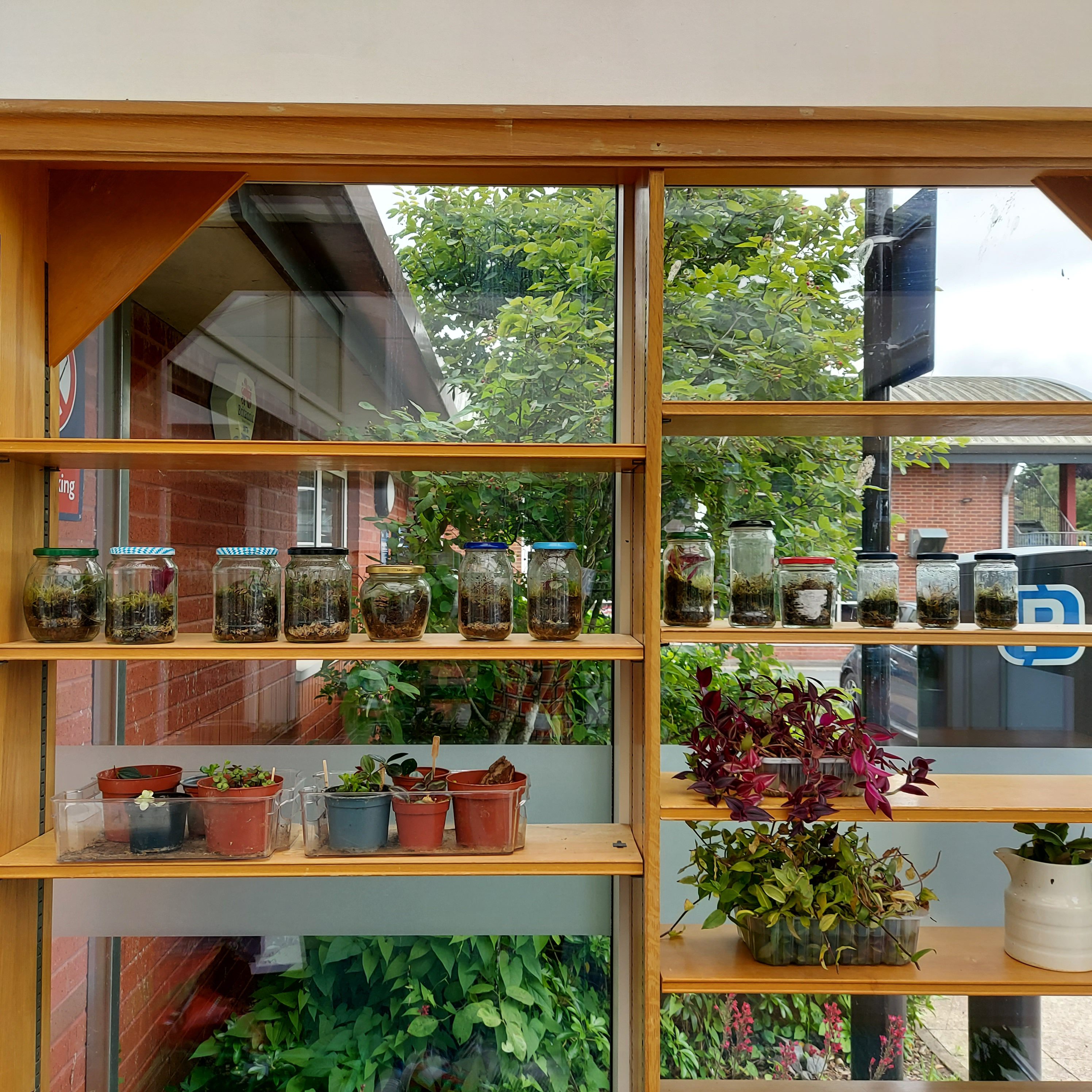 plants and terrariums in the glazed lobby entrance of the student sustainability hub