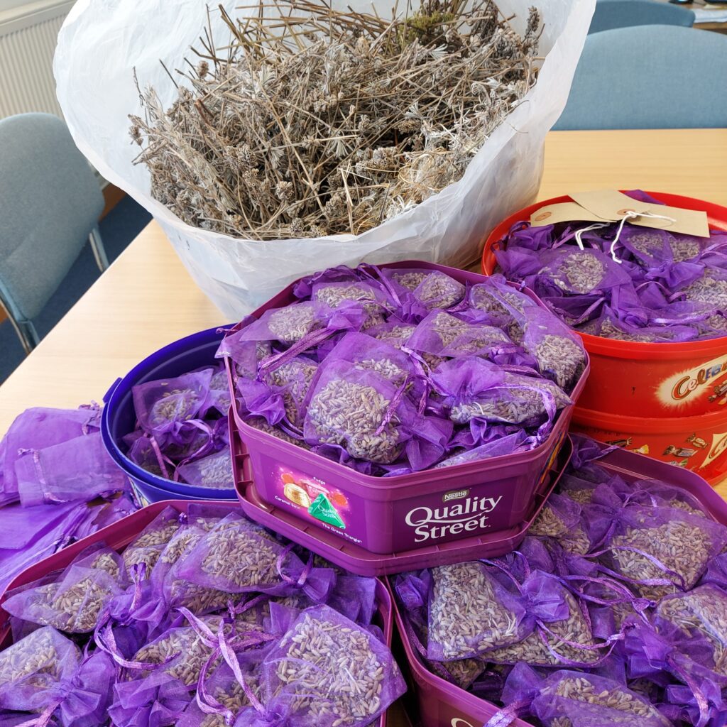 Making dried lavender bags for student accomodation gifts Photograph of small purple organza bags with dreid lavenderza